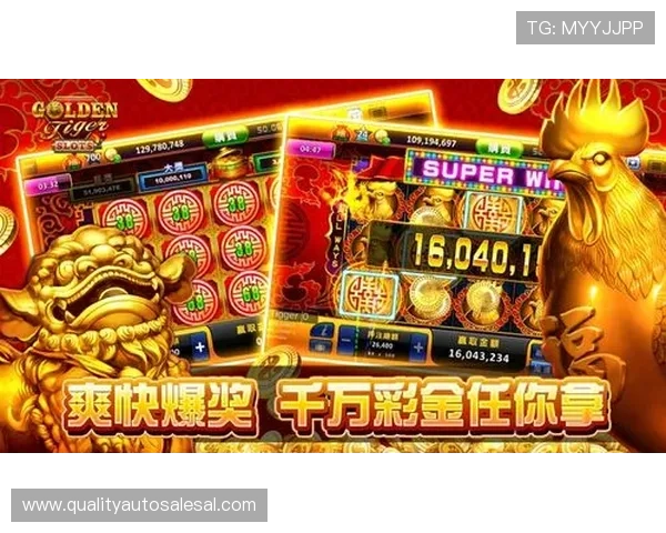 老虎机官方旗舰店怎么样用户评价与真实体验分析