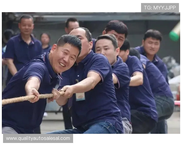 k8凯发中国天生赢家:新手入门必看攻略,帮助你快速熟悉平台操作流程